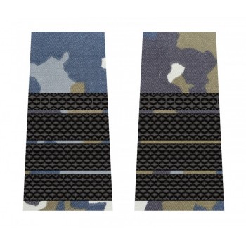 GRADE PLUTONIER ADJUTANT PRINCIPAL COMBAT AVIATIE